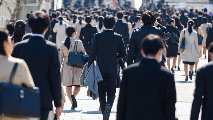 駒沢大学　就職実績